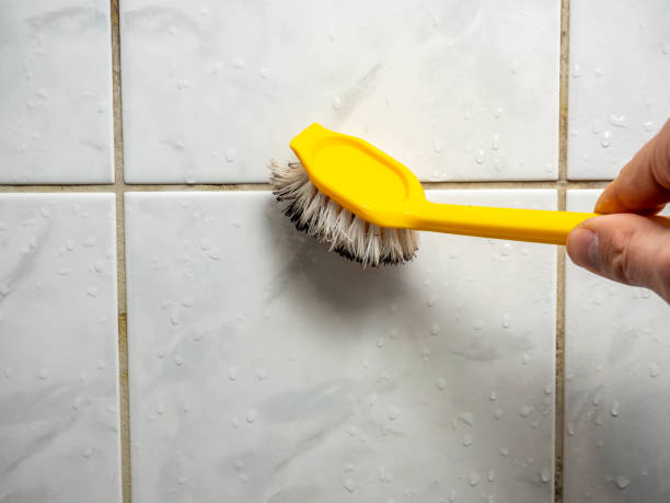 Best Mold Remediation  in Riverdale, UT