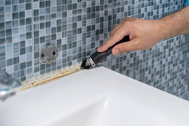 Home Mold Removal in Riverdale, UT