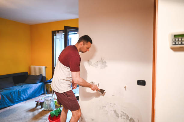 Best Mold Removal Process  in Riverdale, UT